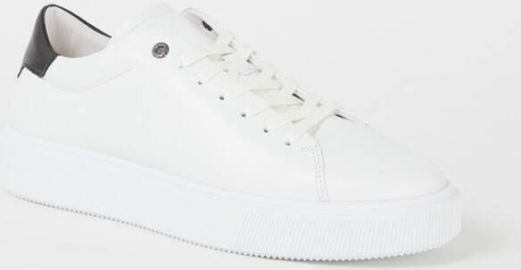 Ted Baker Breyon sneaker van leer