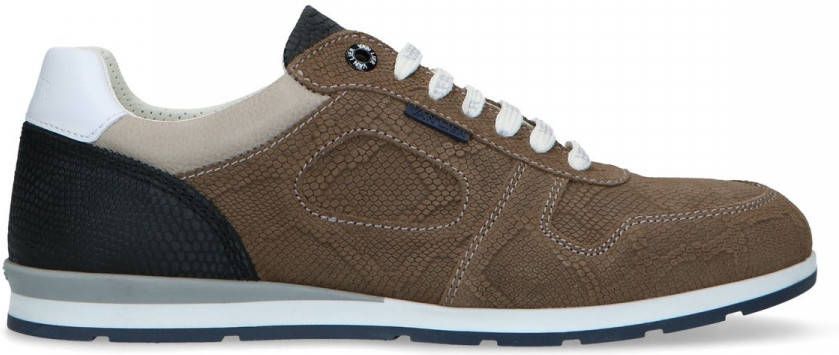 Van lier Grijze suède sneakers met snakeskin