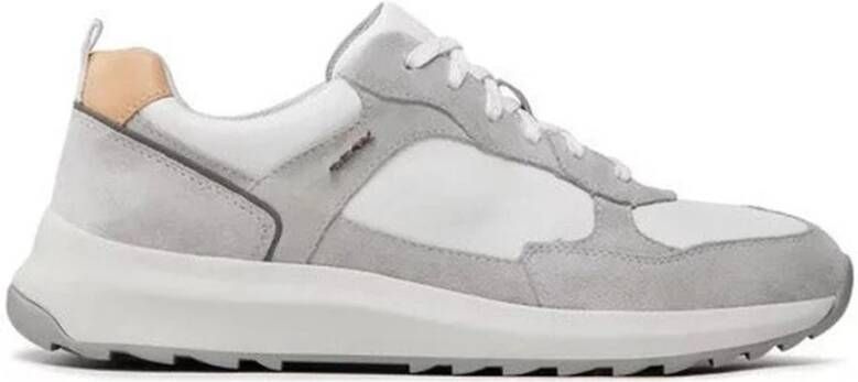 Geox Sneakers Grijs Heren