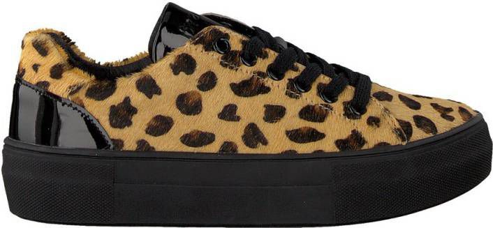 Braqeez Demi Dream leren sneakers panterprint
