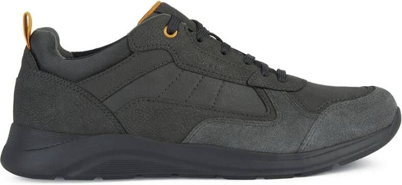 Geox Sneakers , Grijs, Heren