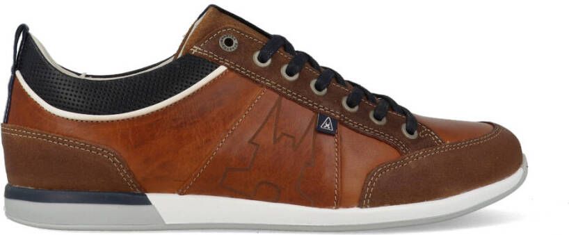 Gaastra Bayline 1712 121501 Bruin