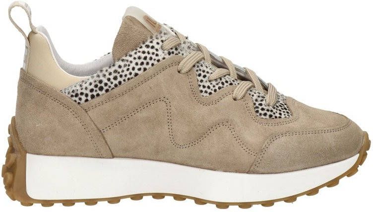 Maruti Kian lage sneakers