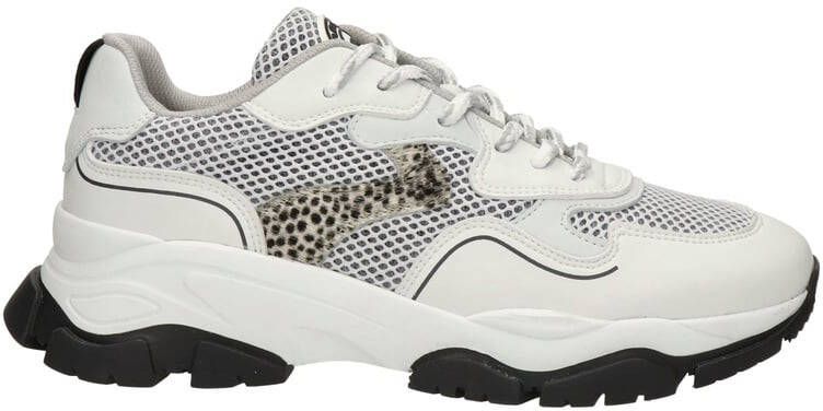 Maruti Toni dad sneakers