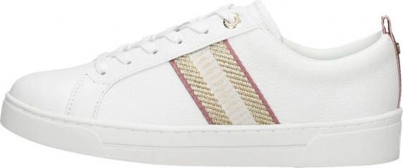 Ted Baker Sneakers Baily Webbing Cupsole Trainer Wit