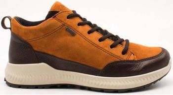 Ara Sneakers