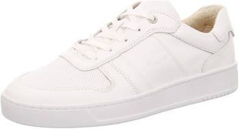 camel active Sneakers