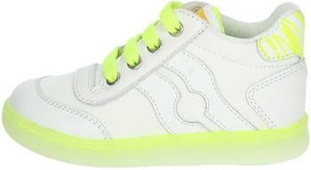 Falcotto Hoge Sneakers 0012015266.09.1N04