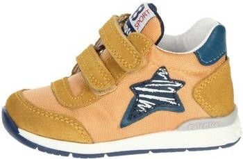 Falcotto Hoge Sneakers 0012015873.04.0G05