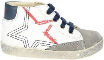 Falcotto Hoge Sneakers 0012016160.01.2B01
