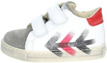 Falcotto Hoge Sneakers 0012016190.01.2B01