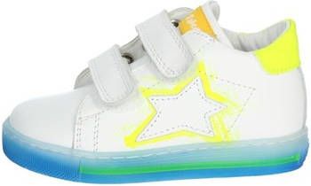 Falcotto Hoge Sneakers 0012016733.01.1N40