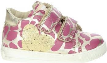 Falcotto Lage Sneakers 0012014118.17.0Q06