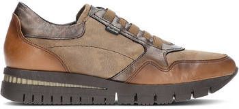 Fluchos Lage Sneakers SPORTS MERYL F1623