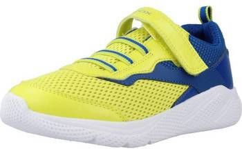 Geox Lage Sneakers J SPRINTYE BOY