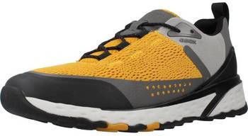 Geox Sneakers U STERRATO