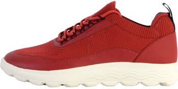 Geox Sneakers 205847