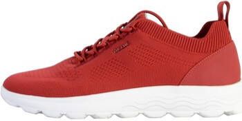 Geox Sneakers 205927