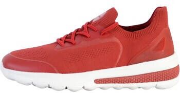 Geox Sneakers 209517