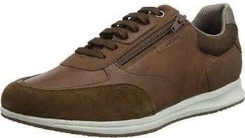 Geox Sneakers Baskets Avery