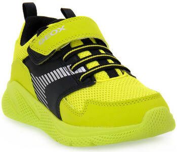 Geox Sneakers C3707 SPRINTYE