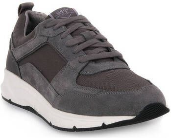 Geox Sneakers C4002 RADENTE