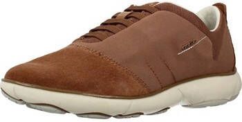 Geox Sneakers D NEBULA C