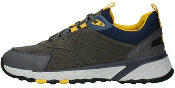 Geox Sneakers Uomo STERRATO