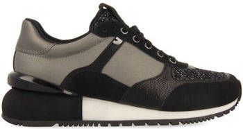 Gioseppo Sneakers F