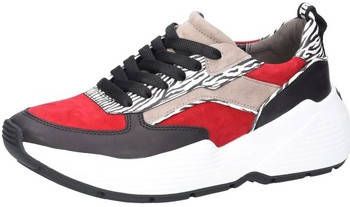 Sneakers Kennel + Schmenger