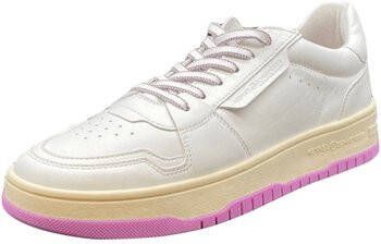 Sneakers Kennel + Schmenger