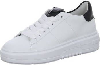 Sneakers Kennel + Schmenger