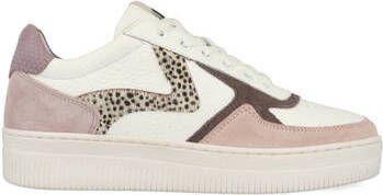 Maruti Sneakers Momo 66.1524.01 B7A