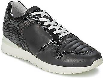 Lage Sneakers Bikkembergs KATE 420