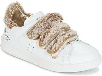 Lage Sneakers Ippon Vintage FLIGHT POLAR