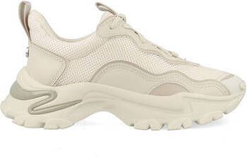 Steve Madden Sneakers Madden Manerva