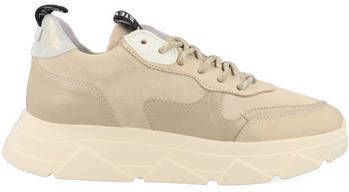 Steve Madden Sneakers Madden Pitty