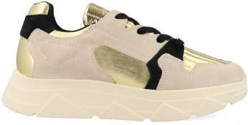 Steve Madden Sneakers Madden Poppy