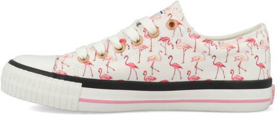 British Knights Master Lo B49 3721 03 Wit 41