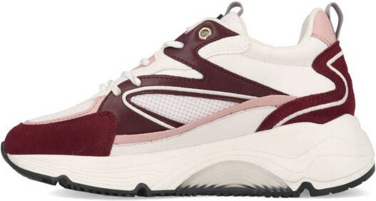 cruyff Madina Bold CC223983 301 Bordeaux/Wit
