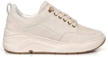 Cycleur de Luxe Apex