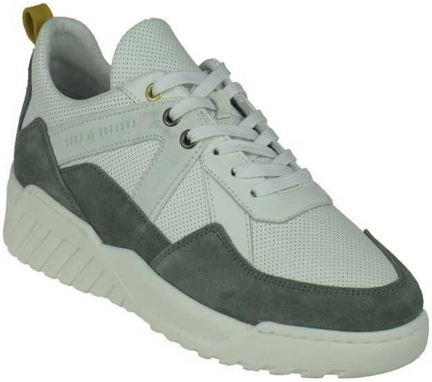 Cycleur de Luxe Cdlm201401