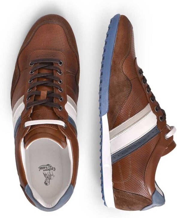 Cycleur de Luxe Sneakers Cdlm211158 , Bruin, Heren