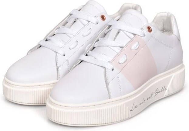 Cycleur de Luxe Cdlw221301 fuga