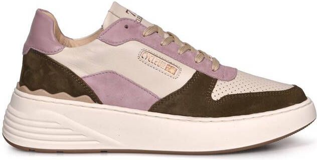 Cycleur de Luxe Cdlw222133 cipressa