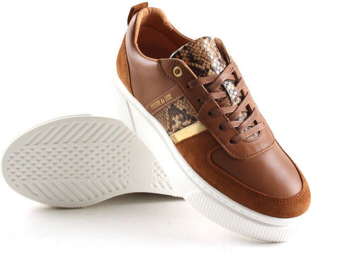 Cycleur de Luxe Lauren