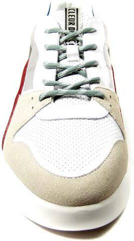 Cycleur de Luxe Oregon ocn