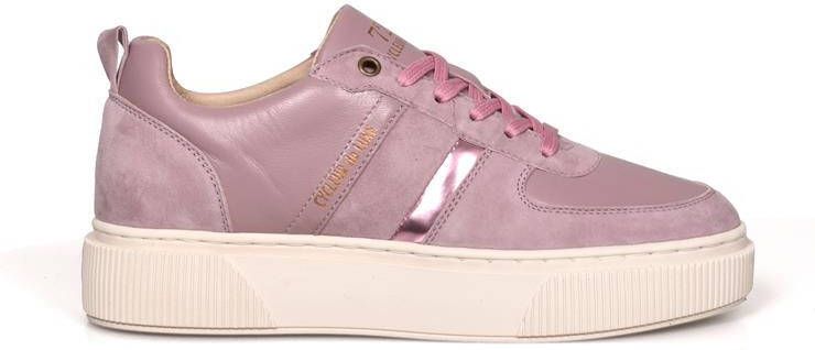 Cycleur de Luxe Panache