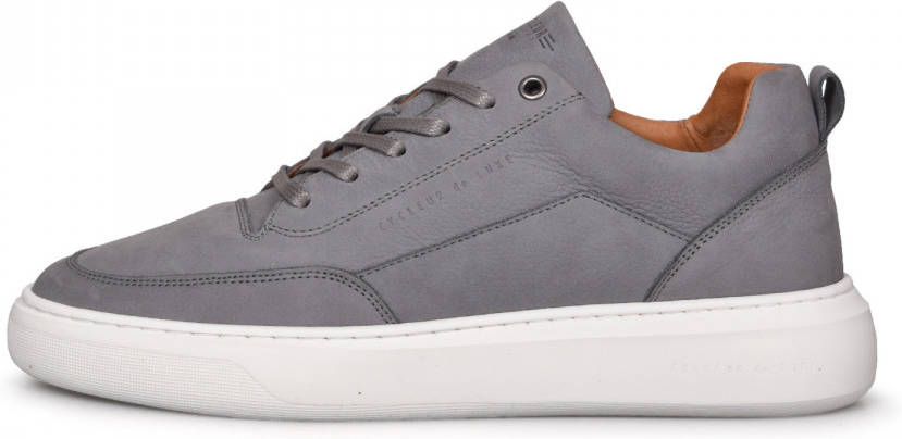 Cycleur de Luxe Roubaix Cdlm212374 , Grijs, Heren