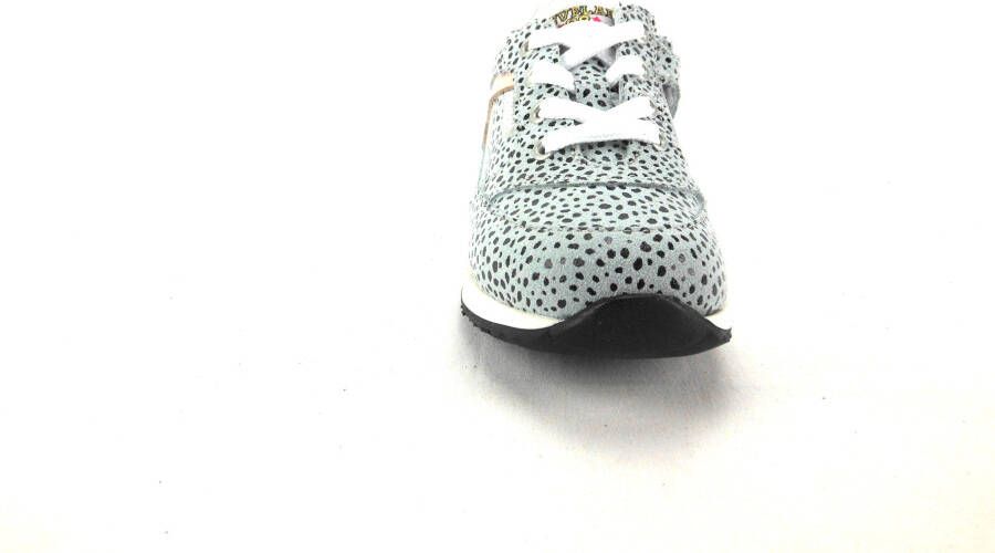 Develab .m1.v20 Grijs